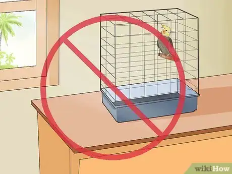 Imagen titulada Get Your Cockatiel to Stop Laying Eggs Step 3