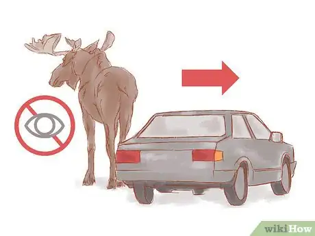 Imagen titulada Avoid a Moose or Deer Collision Step 11