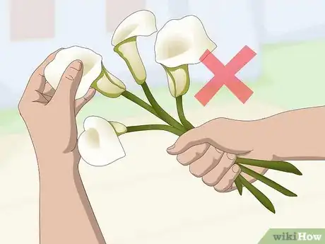 Imagen titulada Keep Cut Calla Lilies Fresh Step 3