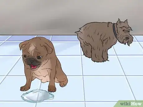 Imagen titulada Give a Dog an Enema Step 6