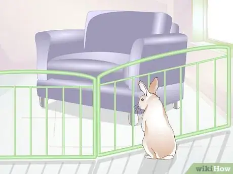 Imagen titulada Teach a Rabbit Not to Chew Furniture Step 11