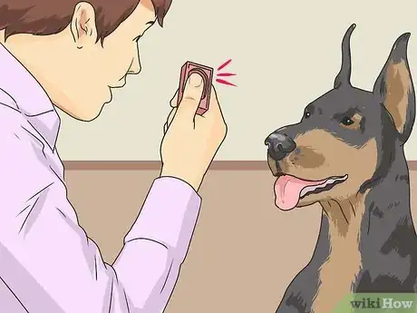 Imagen titulada Teach a Dog to Smile Step 1