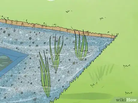 Imagen titulada Build Natural Swimming Pools Step 18