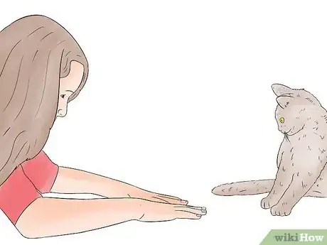 Imagen titulada Train Your Cat to Sit Step 6