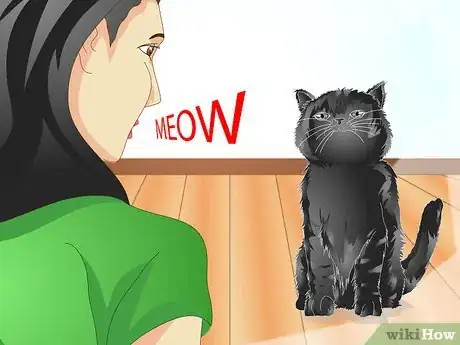 Imagen titulada Teach Your Cat to Talk Step 6