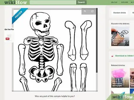 Imagen titulada Make a Human Skeleton out of Paper Step 2