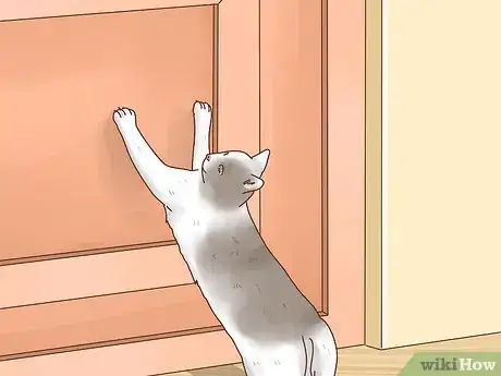 Imagen titulada Keep Cats out of Rooms Step 5