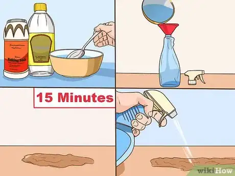 Imagen titulada Clean up Dog Urine Step 5