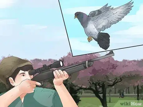 Imagen titulada Eat Dove or Pigeon Step 1