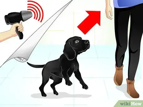 Imagen titulada Raise a Dog Step 13