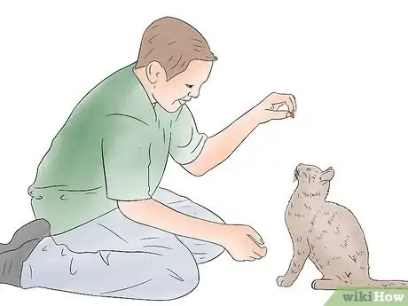 Imagen titulada Train Your Cat to Sit Step 5