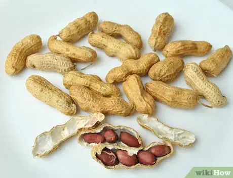 Imagen titulada Eat Peanuts Step 1