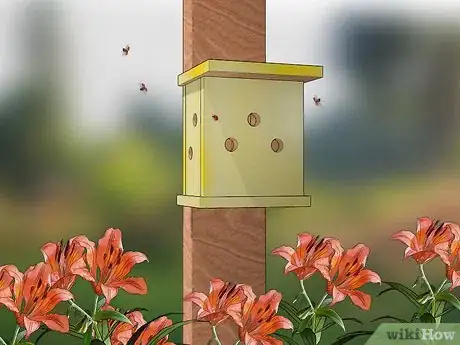 Imagen titulada Build a Ladybug House Step 13