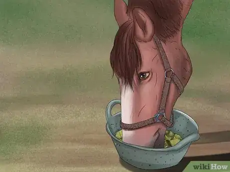 Imagen titulada Feed Your Horse Alfalfa Cubes Step 8