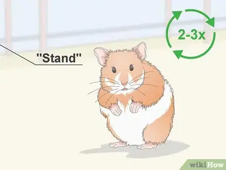 Imagen titulada Teach a Hamster Tricks Step 5