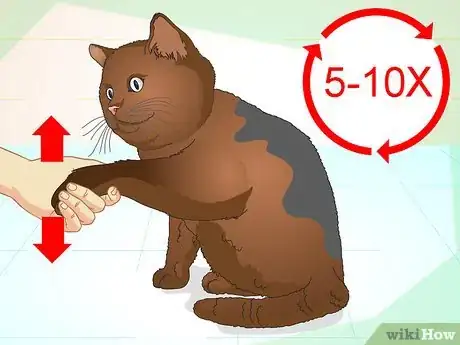 Imagen titulada Teach Your Cat to Do Tricks Step 5