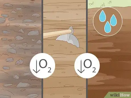 Imagen titulada Why Does Your Soil Smell Like Ammonia Step 3