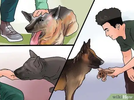 Imagen titulada Train a German Shepherd Step 12