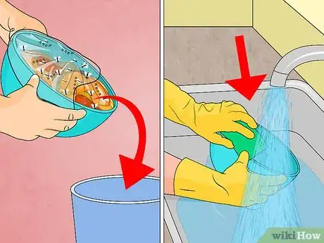 Imagen titulada Get Rid of Fruit Flies Step 12