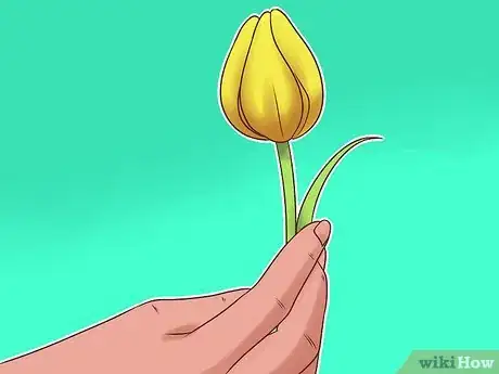 Imagen titulada Arrange Tulips Step 3