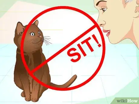 Imagen titulada Teach Your Cat to Do Tricks Step 6