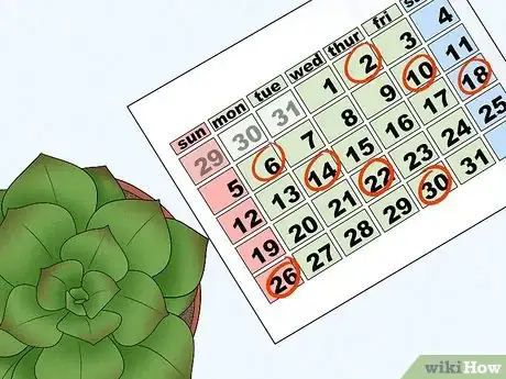 Imagen titulada Water Succulents Step 2