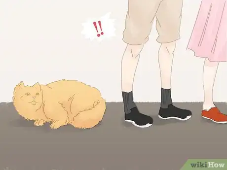 Imagen titulada Prevent Cats from Urinating on Carpet Step 13