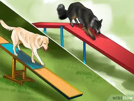 Imagen titulada Design a Dog Agility Course Step 2