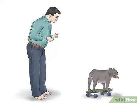 Imagen titulada Teach a Bulldog to Skateboard Step 11