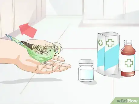 Imagen titulada Avoid Poisoning Your Pet Bird Step 5