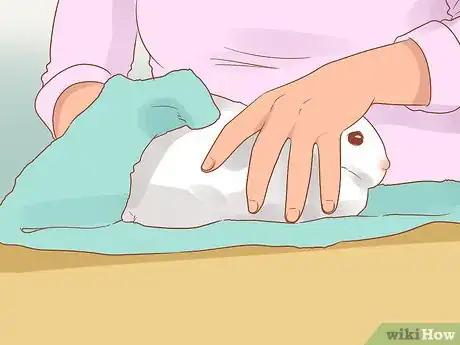 Imagen titulada Stop a Rabbit from Smelling Step 3