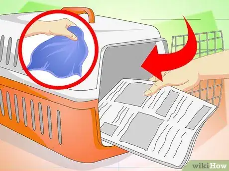 Imagen titulada Get a Cat Into a Pet Carrier Step 7