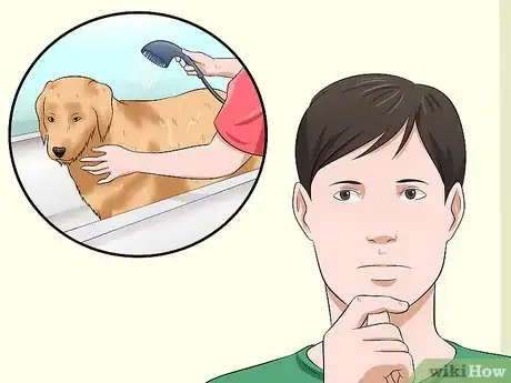 Imagen titulada Bathe a Dog and Keep It Calm Step 5