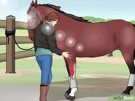 Imagen titulada Pick a Horse Hoof Step 3