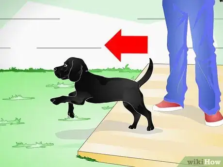 Imagen titulada Raise a Dog Step 3