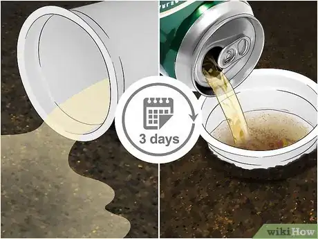 Imagen titulada Use Beer to Get Rid of Snails in Your Garden Step 6