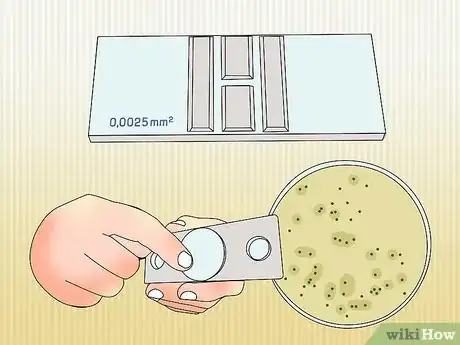 Imagen titulada Measure Bacterial Growth Step 1