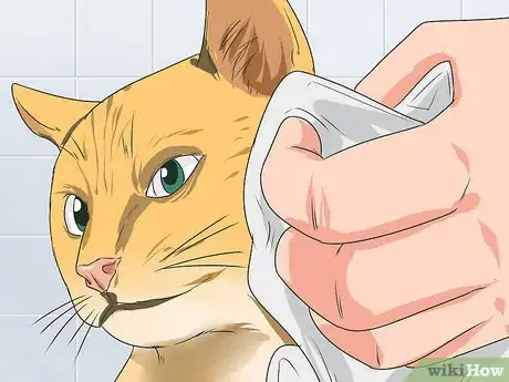 Imagen titulada Train a Cat to Take a Bath Step 12