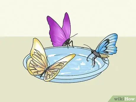 Imagen titulada Make a Butterfly Feeder Step 13