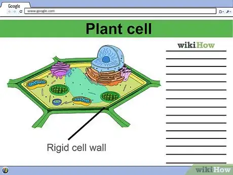 Imagen titulada Make a Model Cell Step 2