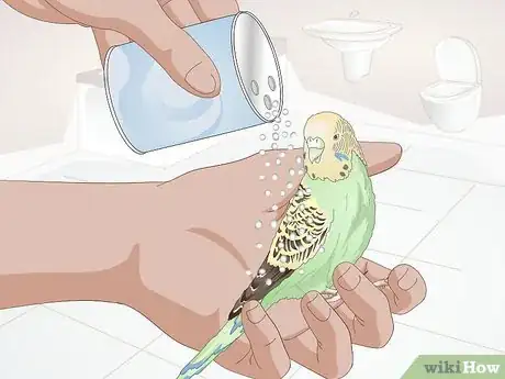 Imagen titulada Get Rid of Mites on Budgies Step 6