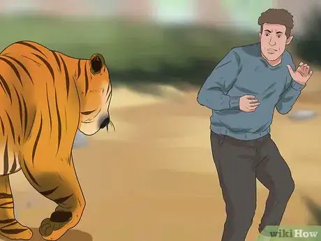 Imagen titulada Survive a Tiger Attack Step 1