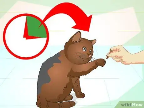 Imagen titulada Teach Your Cat to Do Tricks Step 4