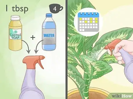 Imagen titulada Get Rid of Thrips Naturally Step 2