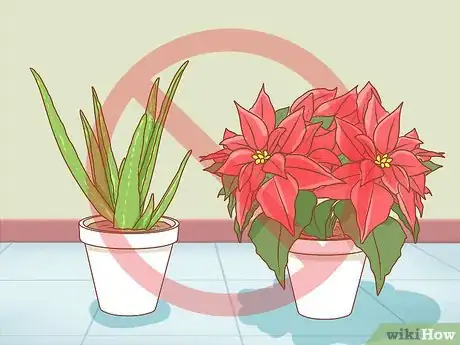 Imagen titulada Protect Your Houseplants from Pets Step 12