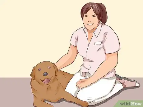 Imagen titulada Discourage a Dog From Biting Step 15