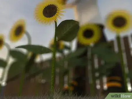 Imagen titulada Harvest Sunflower Seeds Step 5