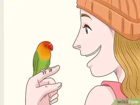 Imagen titulada Choose Lovebirds Step 5