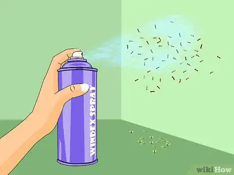 Imagen titulada Get Rid of Fruit Flies Step 13