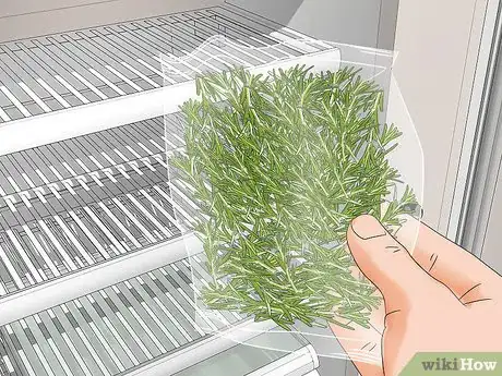 Imagen titulada Harvest Rosemary Step 6